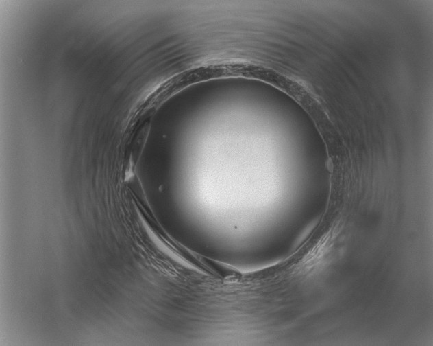 X0000060220871200510281105