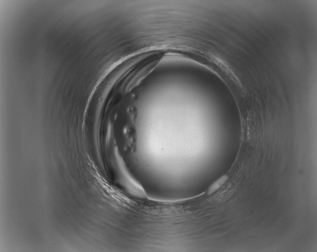 X0000060220876200510281105