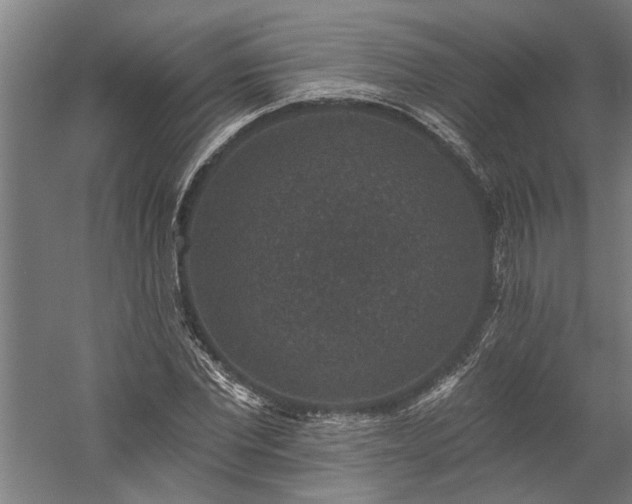 X0000060220877200510281105