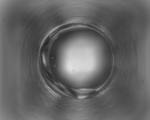 X0000060220880200510281105