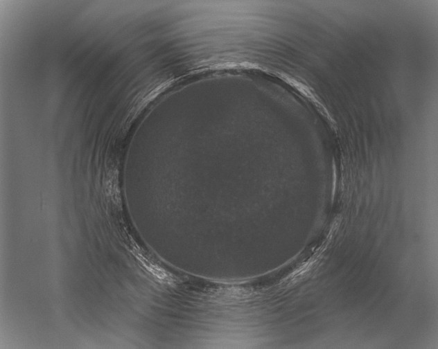 X0000060220881200510281105