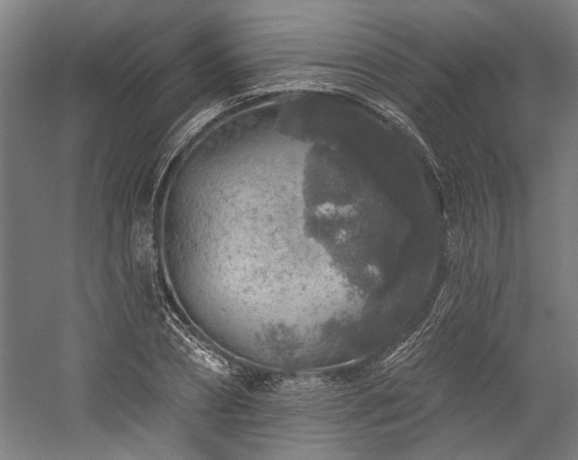X0000060220882200510281105