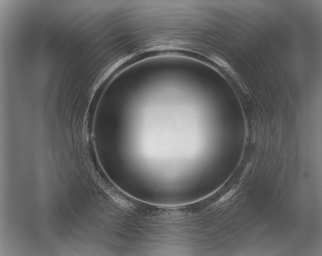 X0000060220885200510281105