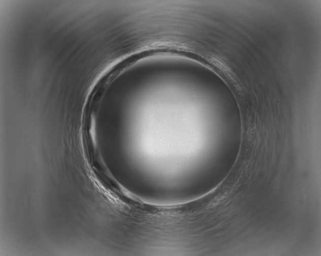 X0000060220888200510281105