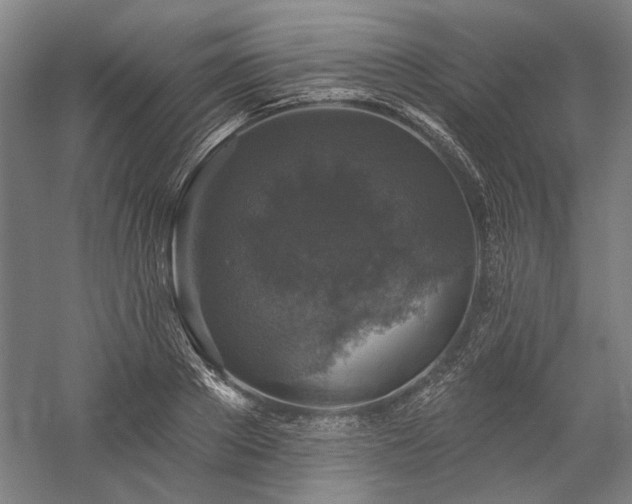 X0000060220889200510281105