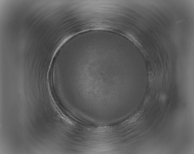 X0000060220891200510281105