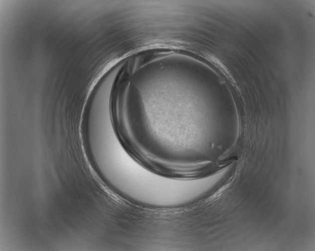 X0000060220893200510281105