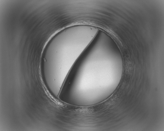 X0000060220896200510281105