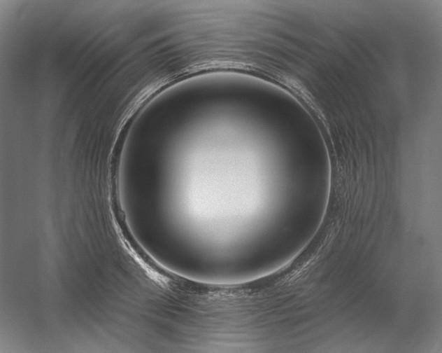 X0000060220898200510281105