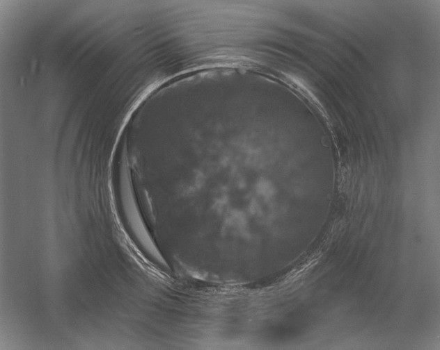 X0000060220899200510281105