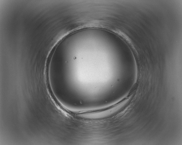 X0000060220902200510281105