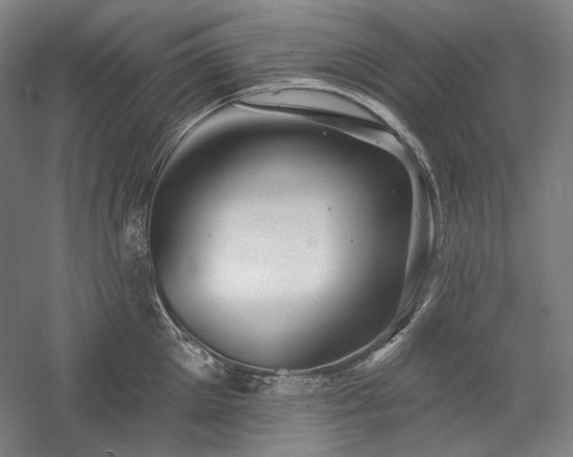 X0000060220905200510281105