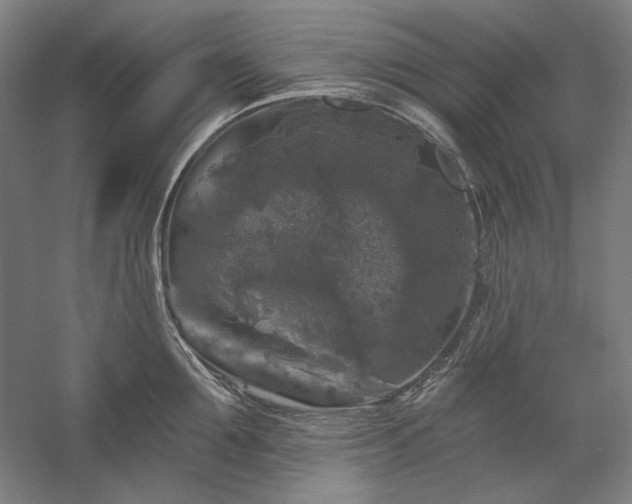X0000060220907200510281104