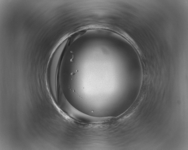 X0000060220909200510281104