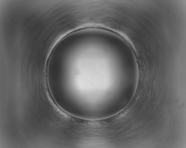 X0000060220911200510281104