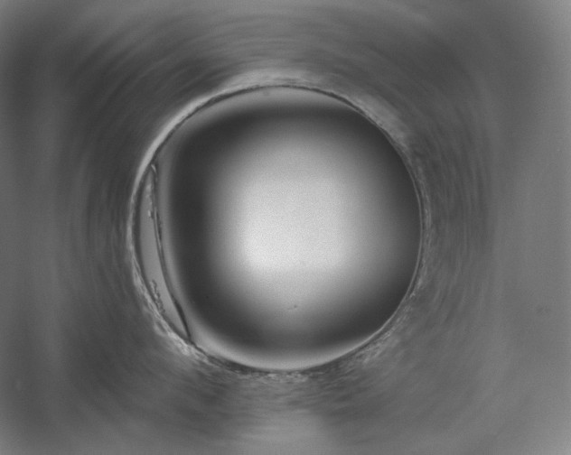 X0000060220912200510281104
