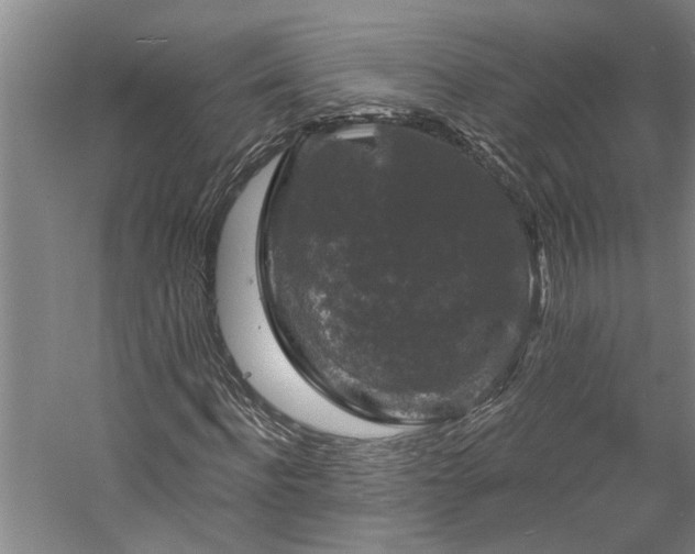 X0000060220916200510281104