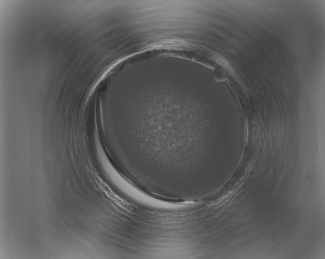 X0000060220923200510281104