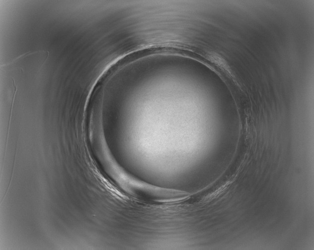 X0000060220924200510281104