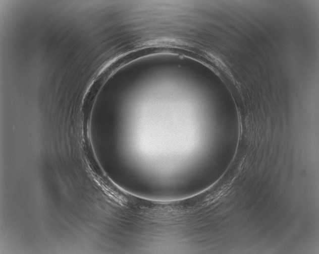 X0000060220931200510281104