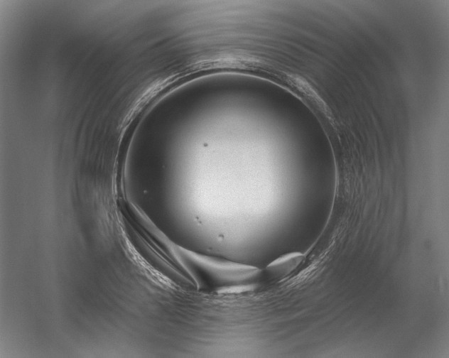 X0000060220938200510281104
