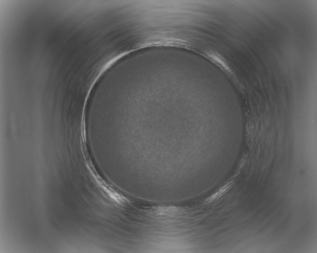 X0000060220940200510281104