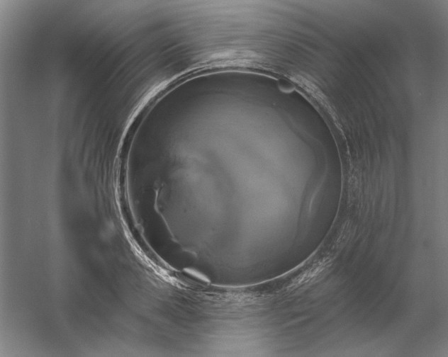 X0000060220941200510281104