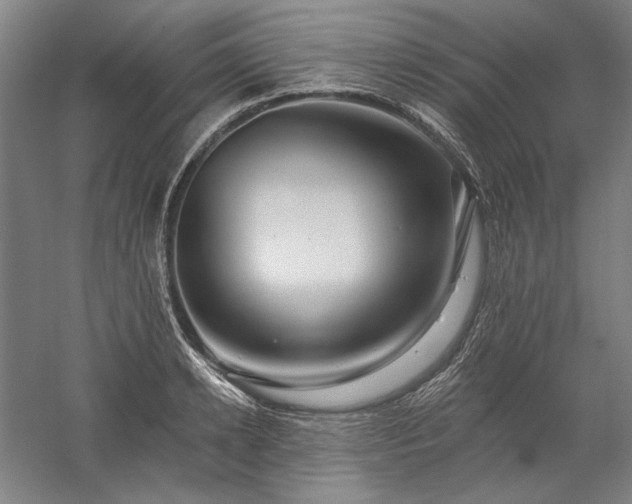 X0000060220942200510281104