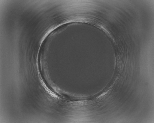 X0000060220944200510281104