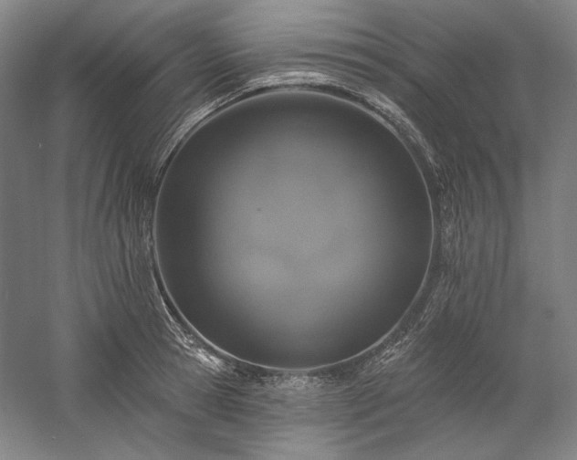 X0000060220945200510281104