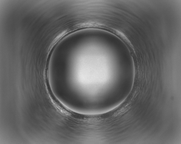 X0000060220946200510281104