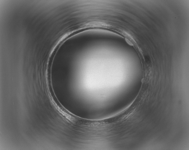 X0000060220947200510281104