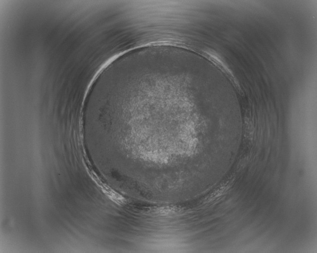 X0000060220948200510281104