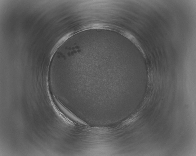 X0000060220954200510281104