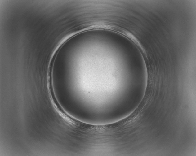 X0000060220955200510281104