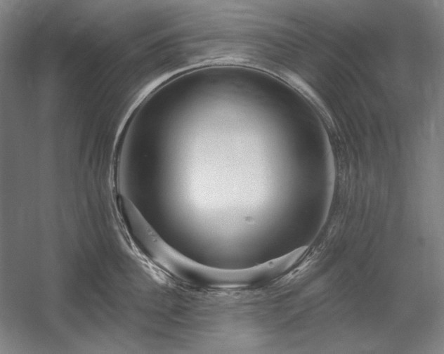 X0000060220956200510281104