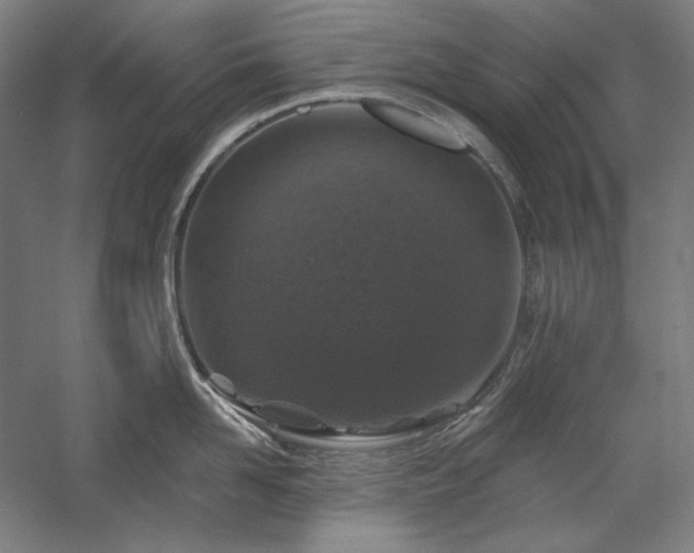 X0000060220958200510281104