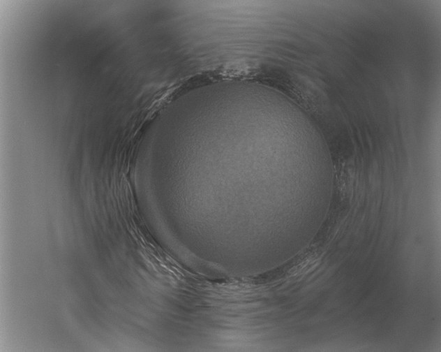 X0000060220962200510281104