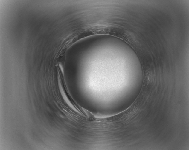 X0000060220964200510281104