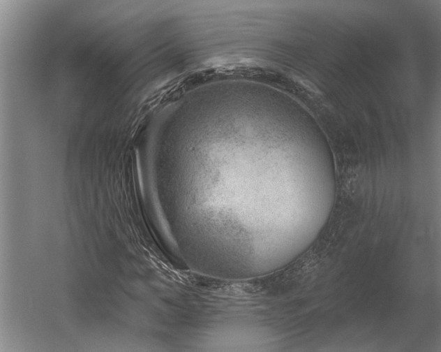 X0000060220966200510281103