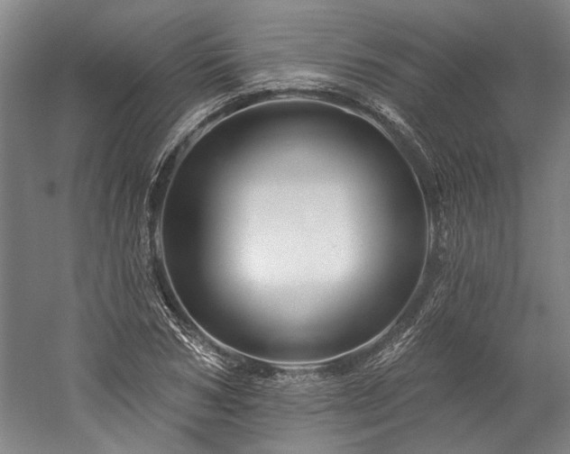X0000060220978200510281103