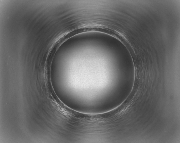 X0000060220979200510281103