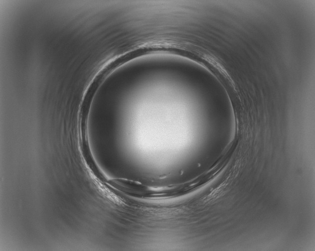 X0000060220984200510281103