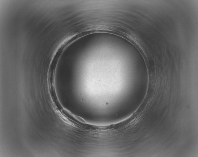 X0000060220987200510281103