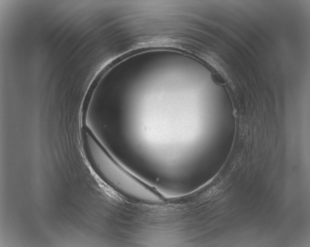 X0000060220988200510281103