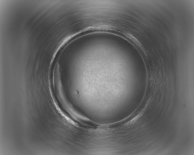 X0000060220989200510281103