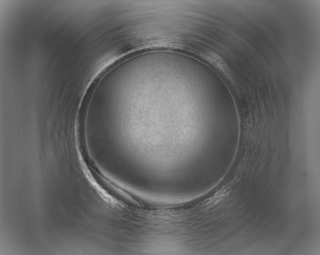 X0000060220991200510281103