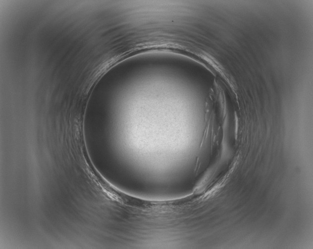 X0000060220993200510281103