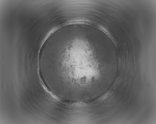 X0000060220994200510281103