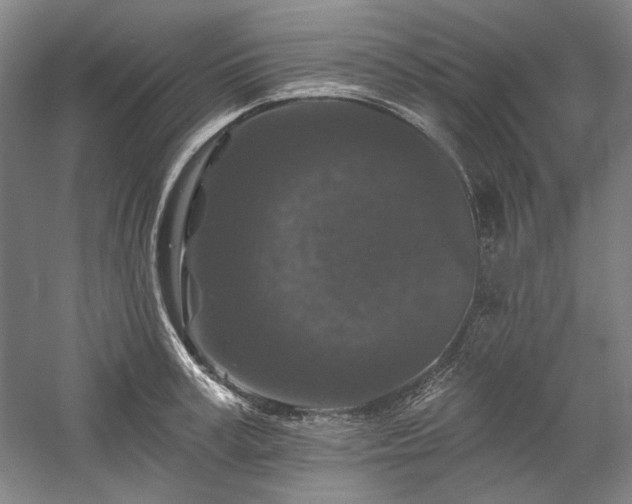 X0000060220995200510281103
